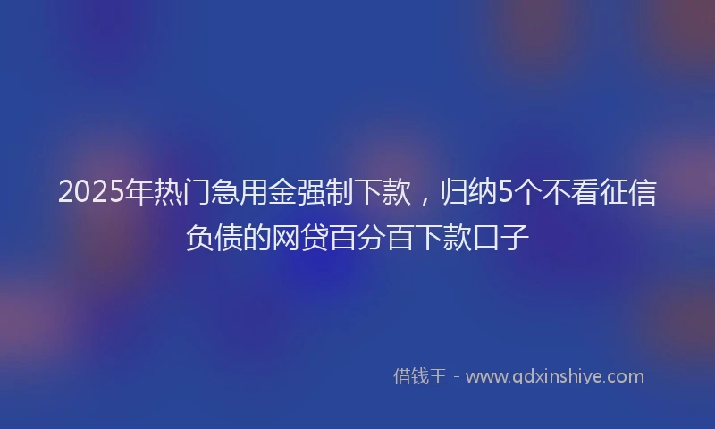 2025年热门急用金强制下款，归纳5个不看征信负债的网贷百分百下款口子
