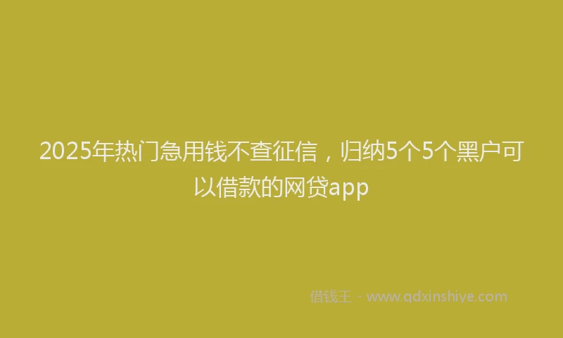 2025年热门急用钱不查征信，归纳5个5个黑户可以借款的网贷app