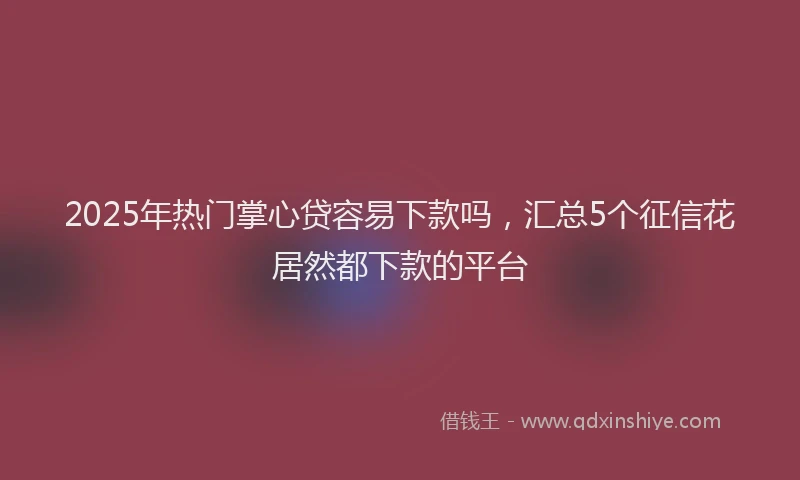 2025年热门掌心贷容易下款吗，汇总5个征信花居然都下款的平台