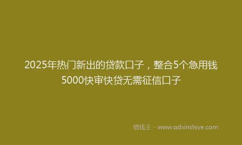2025年热门新出的贷款口子，整合5个急用钱5000快审快贷无需征信口子