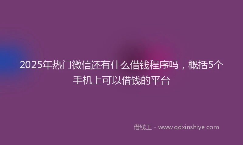 2025年热门微信还有什么借钱程序吗，概括5个手机上可以借钱的平台