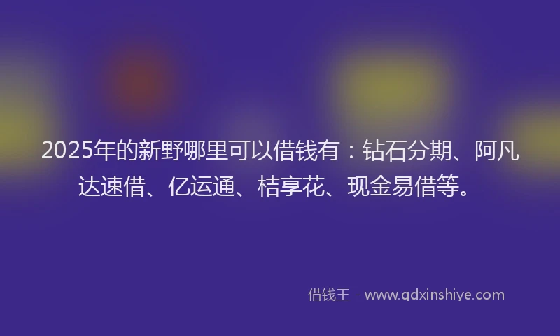 2025年的新野哪里可以借钱有：钻石分期、阿凡达速借、亿运通、桔享花、现金易借等。