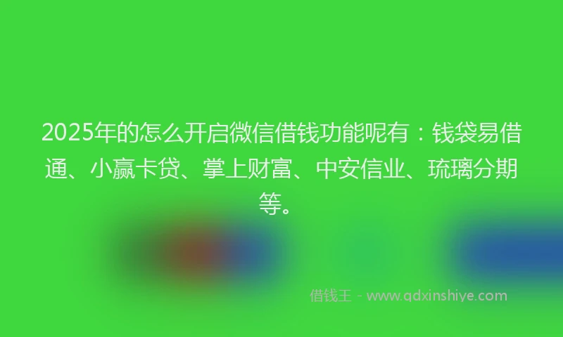 2025年的怎么开启微信借钱功能呢有：钱袋易借通、小赢卡贷、掌上财富、中安信业、琉璃分期等。