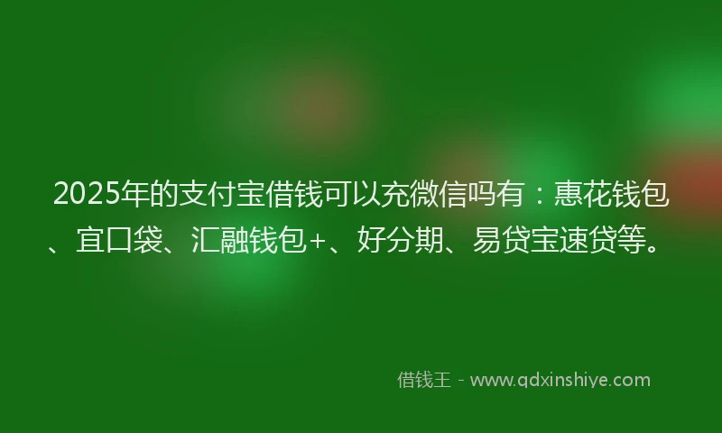 2025年的支付宝借钱可以充微信吗有：惠花钱包、宜口袋、汇融钱包+、好分期、易贷宝速贷等。