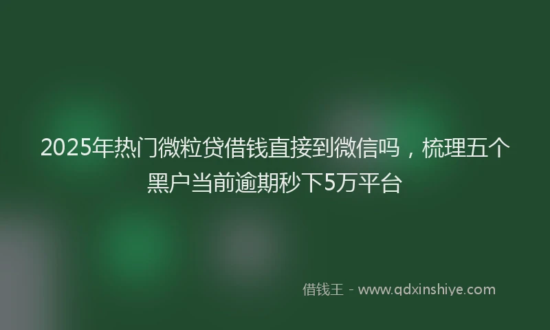 2025年热门微粒贷借钱直接到微信吗，梳理五个黑户当前逾期秒下5万平台