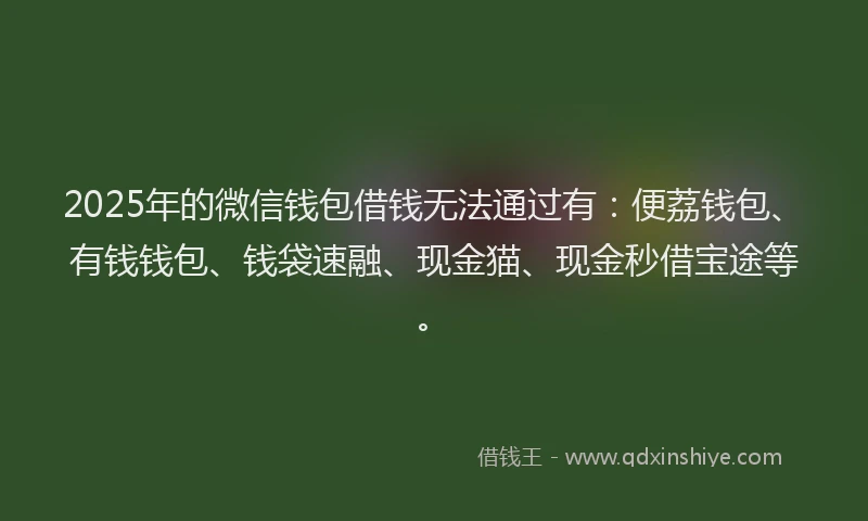 2025年的微信钱包借钱无法通过有：便荔钱包、有钱钱包、钱袋速融、现金猫、现金秒借宝途等。