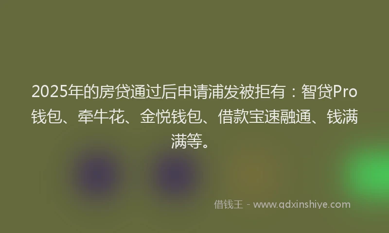 2025年的房贷通过后申请浦发被拒有：智贷Pro钱包、牵牛花、金悦钱包、借款宝速融通、钱满满等。