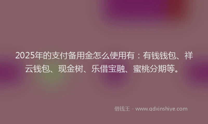 2025年的支付备用金怎么使用有：有钱钱包、祥云钱包、现金树、乐借宝融、蜜桃分期等。