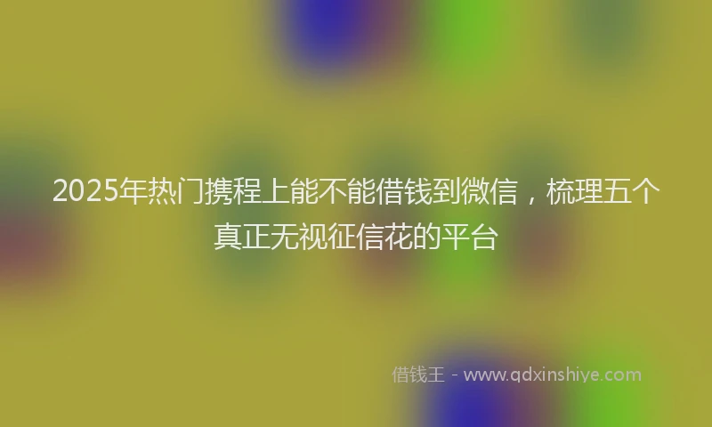2025年热门携程上能不能借钱到微信，梳理五个真正无视征信花的平台