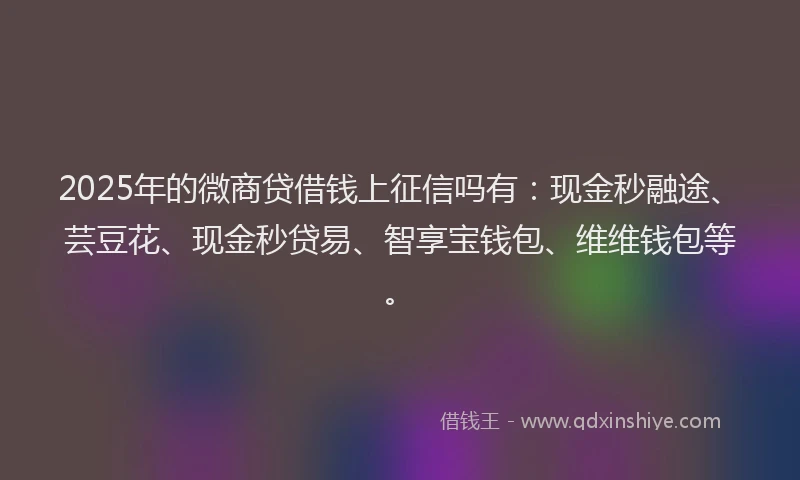 2025年的微商贷借钱上征信吗有：现金秒融途、芸豆花、现金秒贷易、智享宝钱包、维维钱包等。