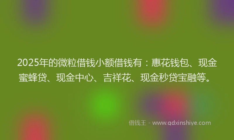 2025年的微粒借钱小额借钱有：惠花钱包、现金蜜蜂贷、现金中心、吉祥花、现金秒贷宝融等。
