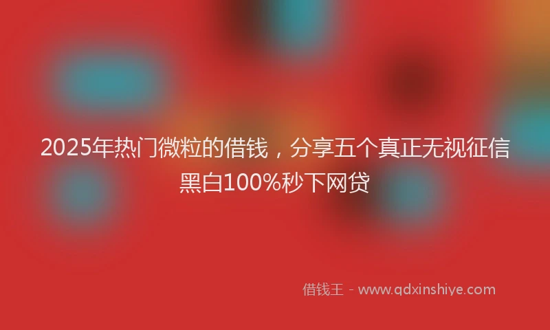 2025年热门微粒的借钱，分享五个真正无视征信黑白100%秒下网贷