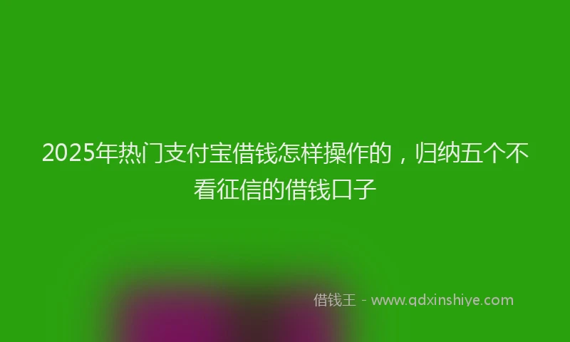 2025年热门支付宝借钱怎样操作的，归纳五个不看征信的借钱口子