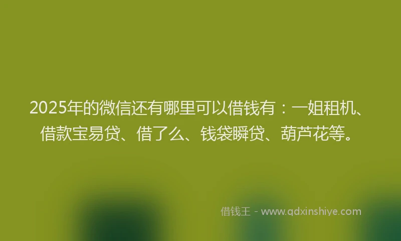 2025年的微信还有哪里可以借钱有：一姐租机、借款宝易贷、借了么、钱袋瞬贷、葫芦花等。
