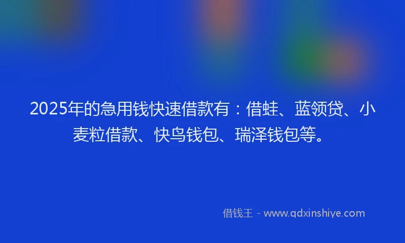 2025年的急用钱快速借款有：借蛙、蓝领贷、小麦粒借款、快鸟钱包、瑞泽钱包等。