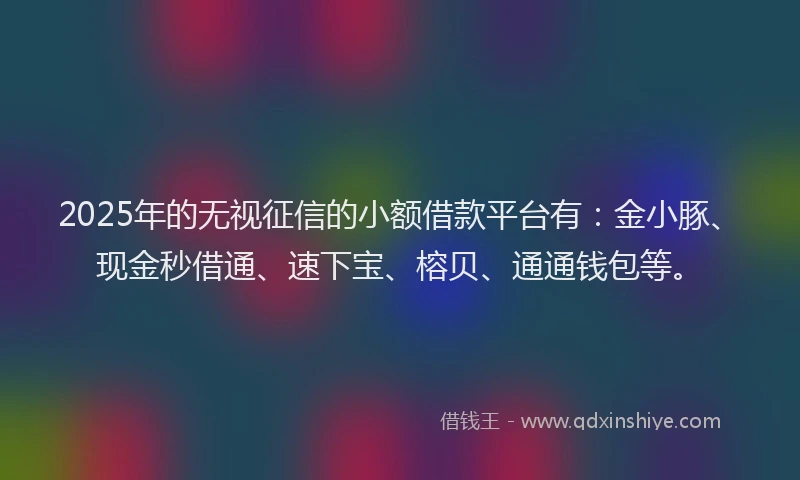 2025年的无视征信的小额借款平台有：金小豚、现金秒借通、速下宝、榕贝、通通钱包等。