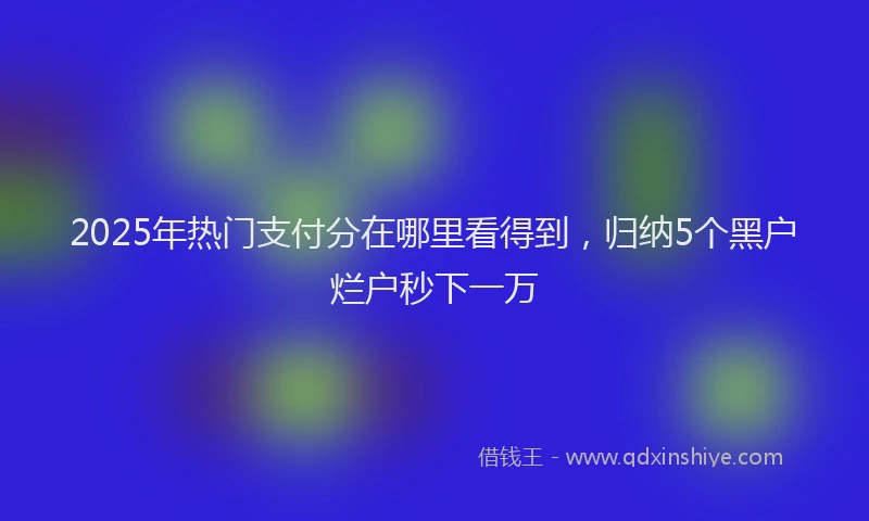 2025年热门支付分在哪里看得到，归纳5个黑户烂户秒下一万