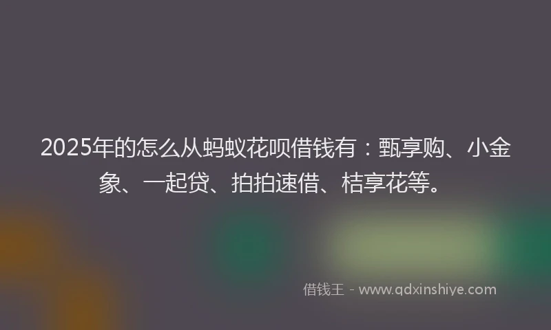 2025年的怎么从蚂蚁花呗借钱有：甄享购、小金象、一起贷、拍拍速借、桔享花等。