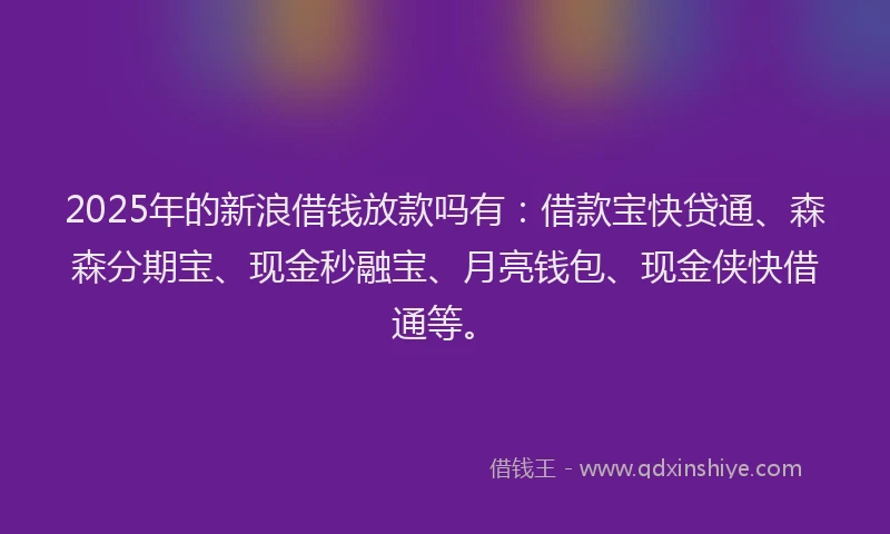 2025年的新浪借钱放款吗有：借款宝快贷通、森森分期宝、现金秒融宝、月亮钱包、现金侠快借通等。