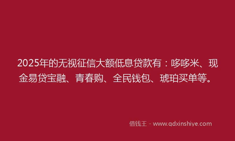2025年的无视征信大额低息贷款有：哆哆米、现金易贷宝融、青春购、全民钱包、琥珀买单等。