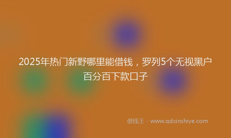 2025年热门新野哪里能借钱，罗列5个无视黑户百分百下款口子
