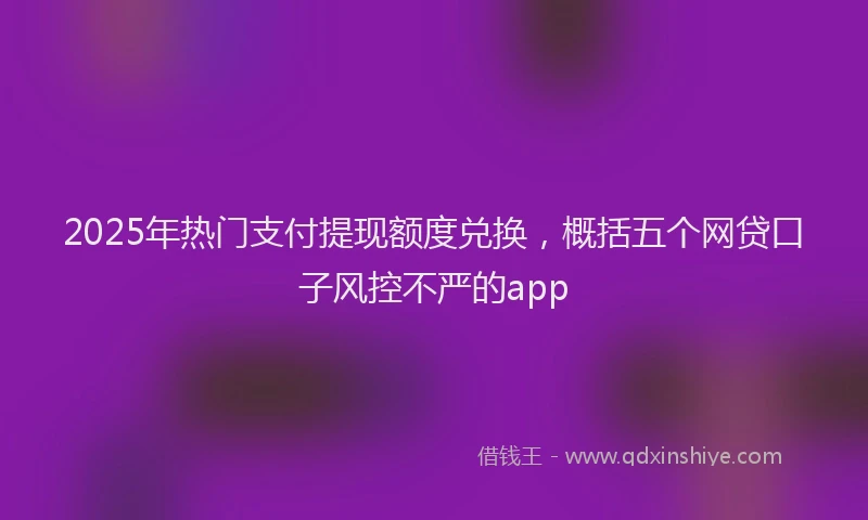 2025年热门支付提现额度兑换，概括五个网贷口子风控不严的app
