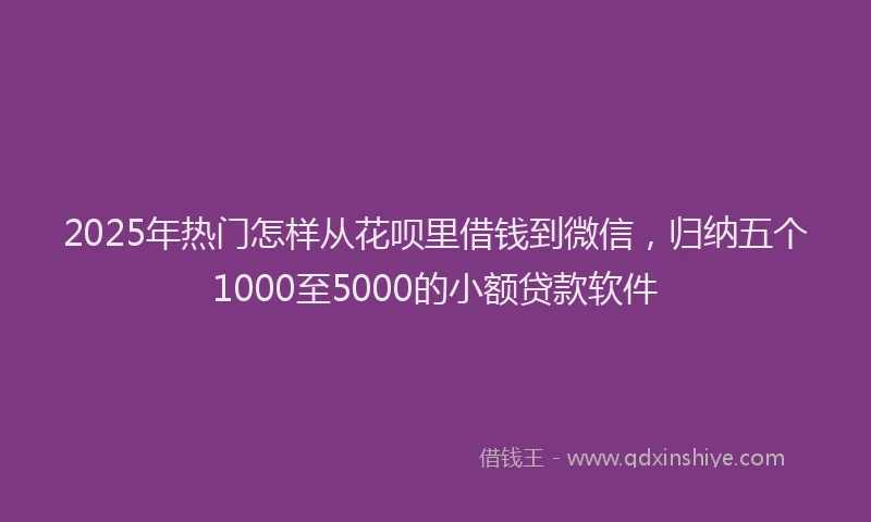2025年热门怎样从花呗里借钱到微信，归纳五个1000至5000的小额贷款软件