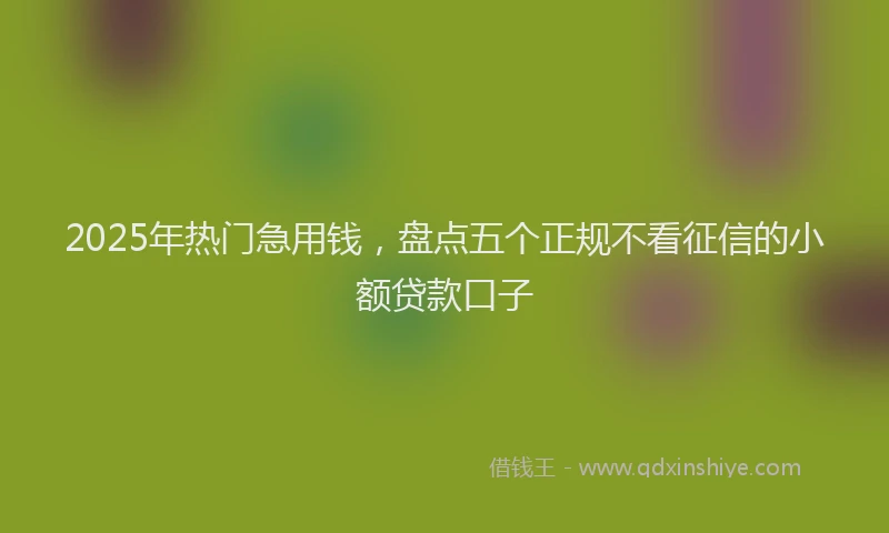 2025年热门急用钱，盘点五个正规不看征信的小额贷款口子