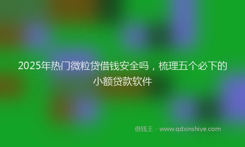 2025年热门微粒贷借钱安全吗，梳理五个必下的小额贷款软件