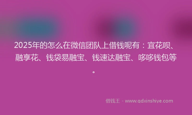 2025年的怎么在微信团队上借钱呢有：宜花呗、融享花、钱袋易融宝、钱速达融宝、哆哆钱包等。
