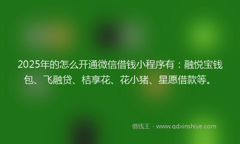 2025年的怎么开通微信借钱小程序有：融悦宝钱包、飞融贷、桔享花、花小猪、星愿借款等。