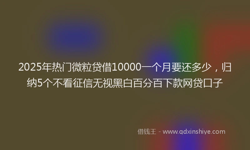 2025年热门微粒贷借10000一个月要还多少，归纳5个不看征信无视黑白百分百下款网贷口子
