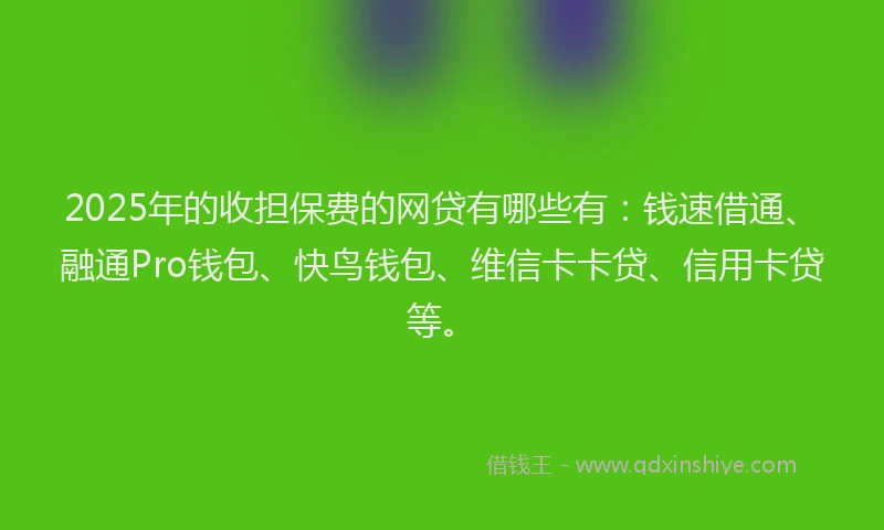 2025年的收担保费的网贷有哪些有：钱速借通、融通Pro钱包、快鸟钱包、维信卡卡贷、信用卡贷等。