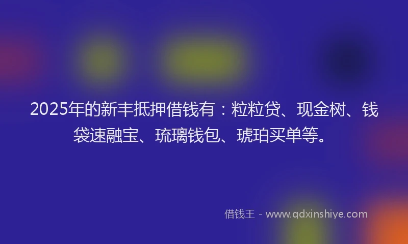 2025年的新丰抵押借钱有：粒粒贷、现金树、钱袋速融宝、琉璃钱包、琥珀买单等。