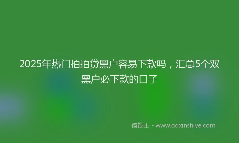 2025年热门拍拍贷黑户容易下款吗，汇总5个双黑户必下款的口子