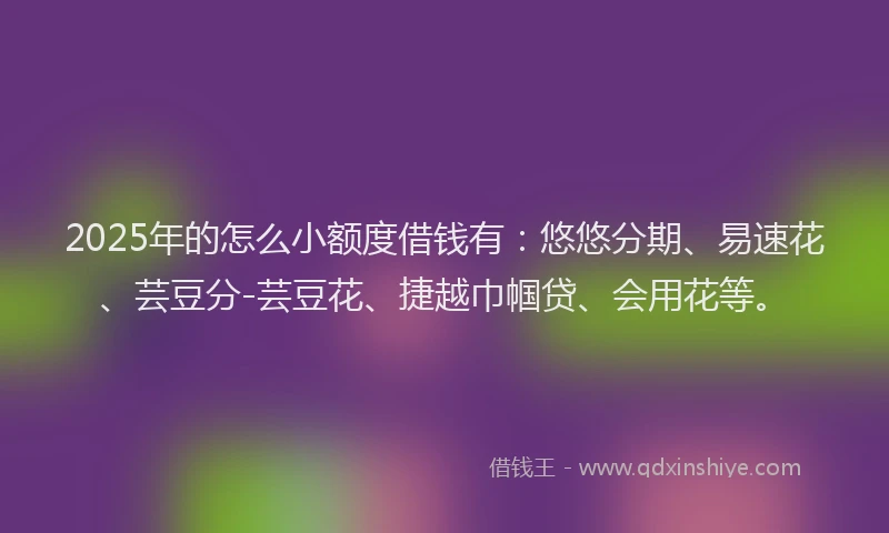 2025年的怎么小额度借钱有：悠悠分期、易速花、芸豆分-芸豆花、捷越巾帼贷、会用花等。