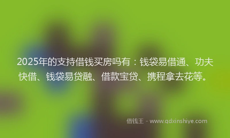2025年的支持借钱买房吗有：钱袋易借通、功夫快借、钱袋易贷融、借款宝贷、携程拿去花等。