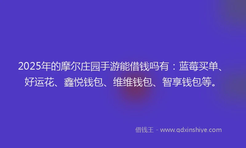 2025年的摩尔庄园手游能借钱吗有：蓝莓买单、好运花、鑫悦钱包、维维钱包、智享钱包等。