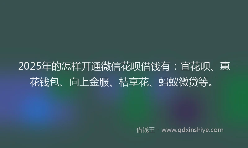 2025年的怎样开通微信花呗借钱有：宜花呗、惠花钱包、向上金服、桔享花、蚂蚁微贷等。