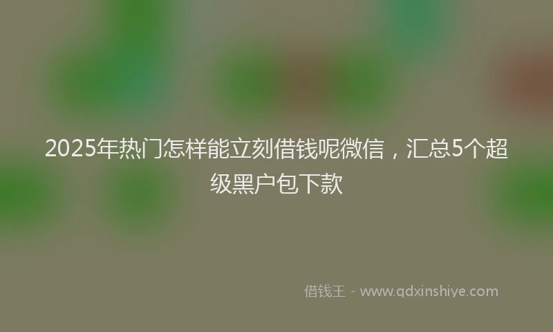 2025年热门怎样能立刻借钱呢微信，汇总5个超级黑户包下款