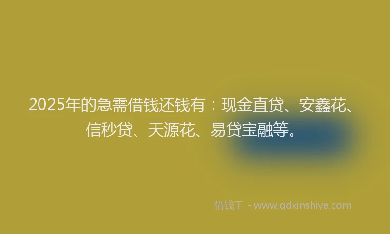2025年的急需借钱还钱有：现金直贷、安鑫花、信秒贷、天源花、易贷宝融等。