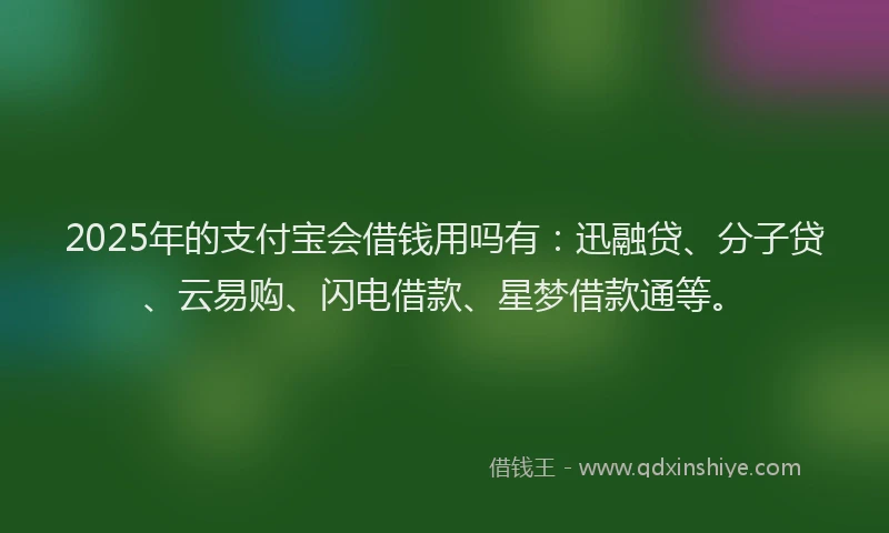 2025年的支付宝会借钱用吗有：迅融贷、分子贷、云易购、闪电借款、星梦借款通等。