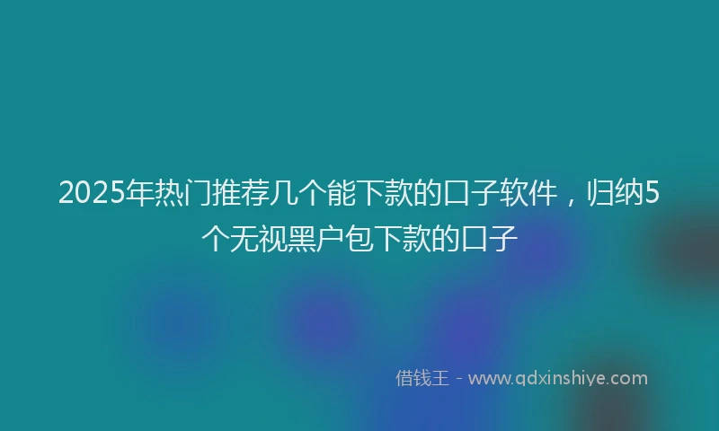 2025年热门推荐几个能下款的口子软件，归纳5个无视黑户包下款的口子