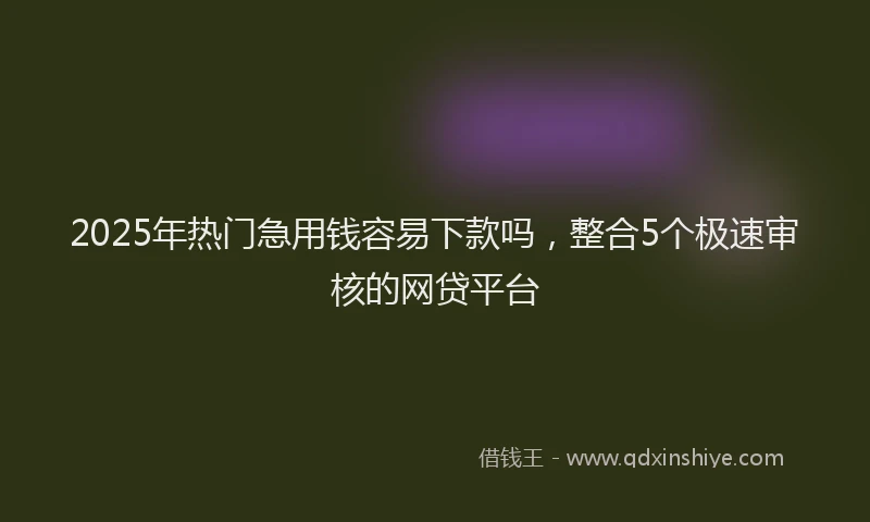 2025年热门急用钱容易下款吗，整合5个极速审核的网贷平台