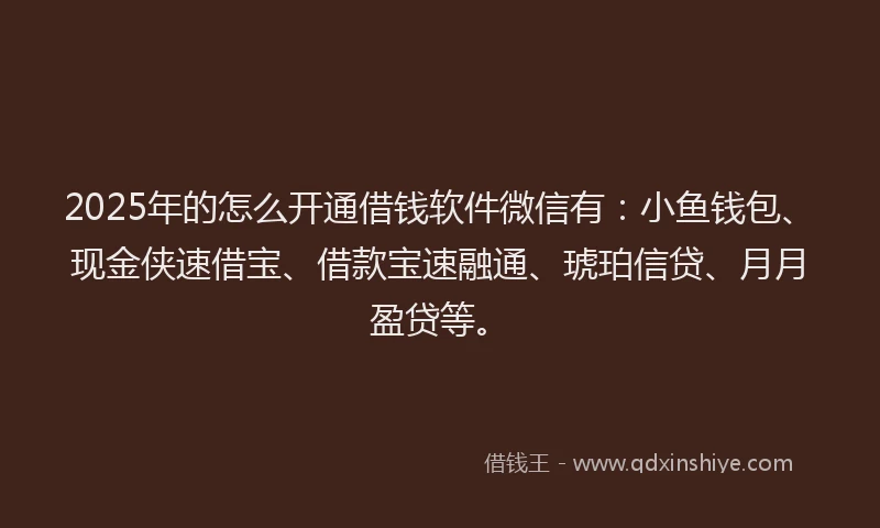 2025年的怎么开通借钱软件微信有：小鱼钱包、现金侠速借宝、借款宝速融通、琥珀信贷、月月盈贷等。