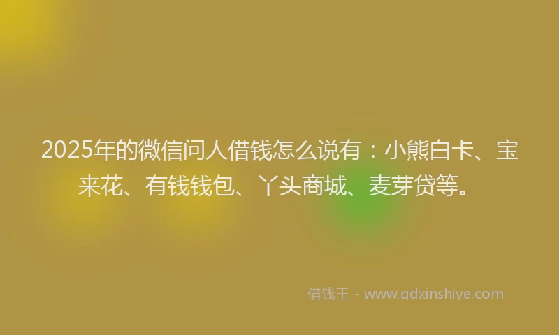 2025年的微信问人借钱怎么说有：小熊白卡、宝来花、有钱钱包、丫头商城、麦芽贷等。