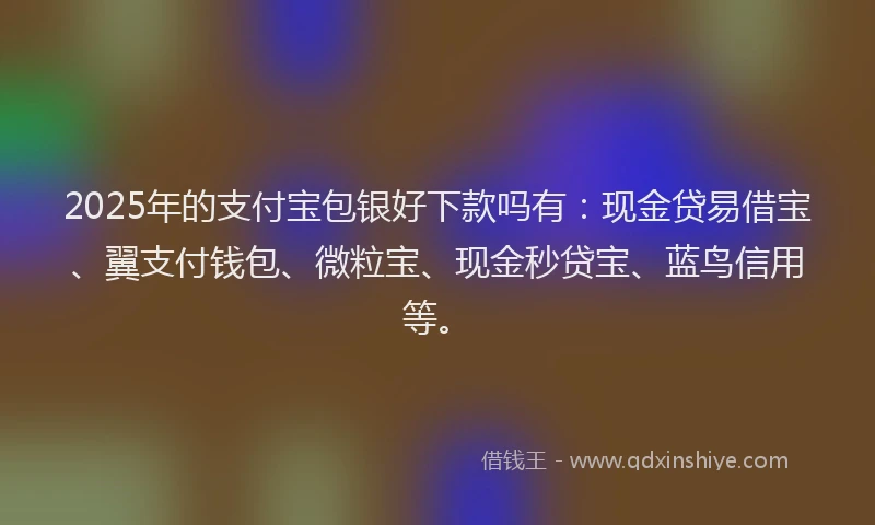 2025年的支付宝包银好下款吗有：现金贷易借宝、翼支付钱包、微粒宝、现金秒贷宝、蓝鸟信用等。