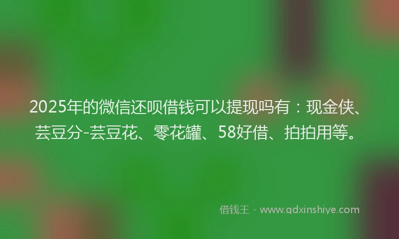 2025年的微信还呗借钱可以提现吗有：现金侠、芸豆分-芸豆花、零花罐、58好借、拍拍用等。