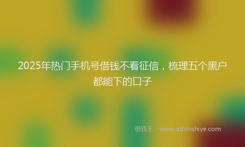 2025年热门手机号借钱不看征信，梳理五个黑户都能下的口子