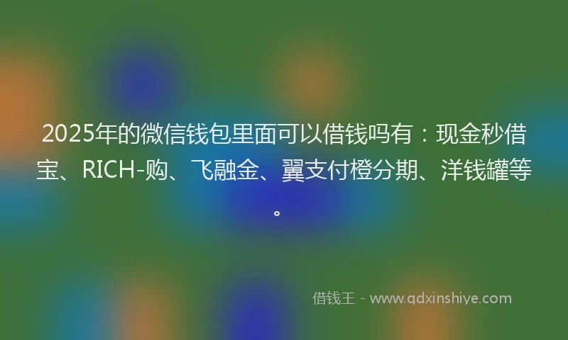 2025年的微信钱包里面可以借钱吗有：现金秒借宝、RICH-购、飞融金、翼支付橙分期、洋钱罐等。